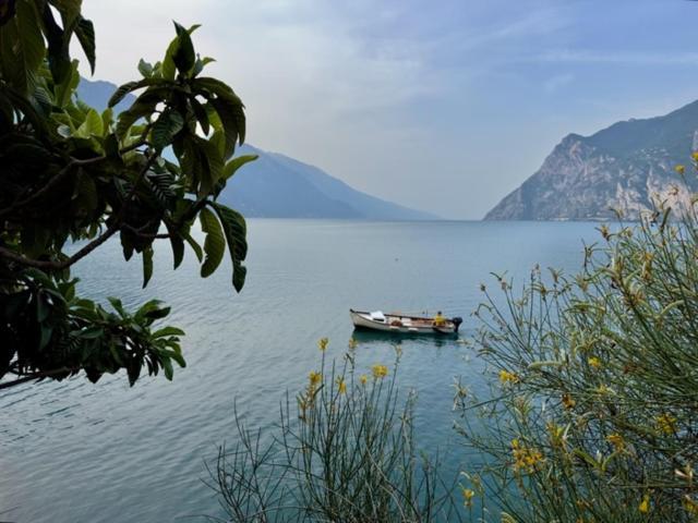 Апартаменты Alloggio Turistico Molu Gavazzo Nuova Экстерьер фото